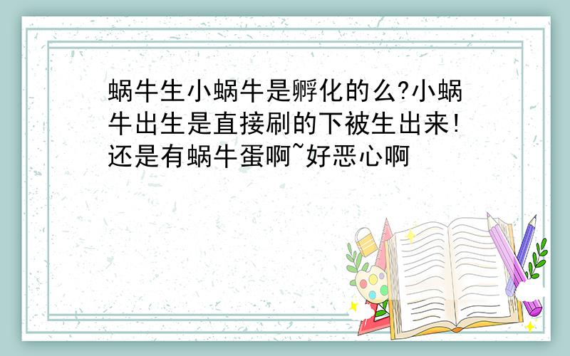 蜗牛生小蜗牛是孵化的么?小蜗牛出生是直接刷的下被生出来!还是有蜗牛蛋啊~好恶心啊