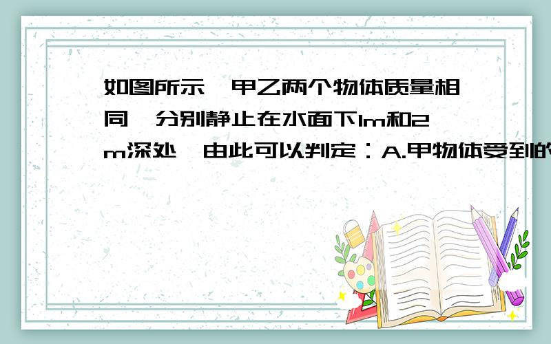 如图所示,甲乙两个物体质量相同,分别静止在水面下1m和2m深处,由此可以判定：A.甲物体受到的浮力大于乙物体受到的浮力.B.甲物体受到的浮力等于乙物体受到的浮力.C.甲物体受到的浮力小于