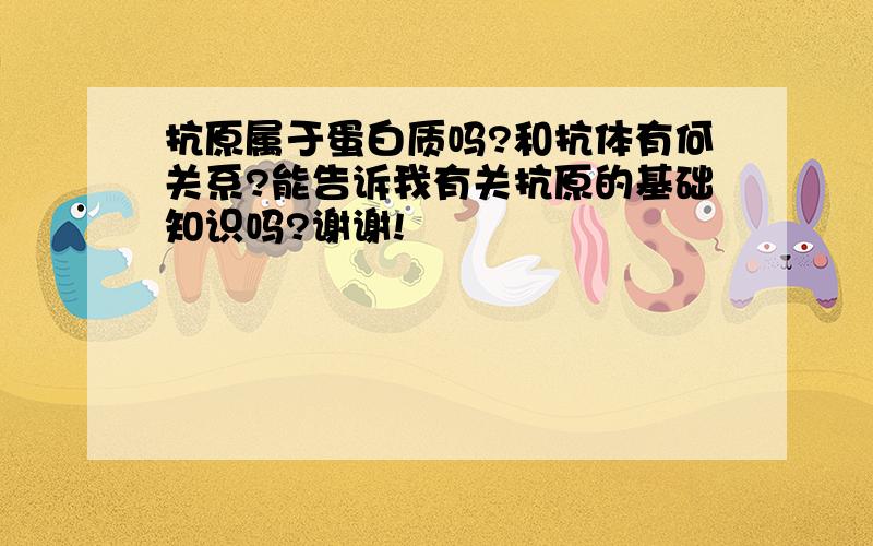 抗原属于蛋白质吗?和抗体有何关系?能告诉我有关抗原的基础知识吗?谢谢!