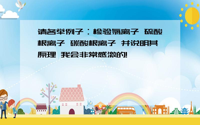 请各举例子：检验氯离子 硫酸根离子 碳酸根离子 并说明其原理 我会非常感激的!