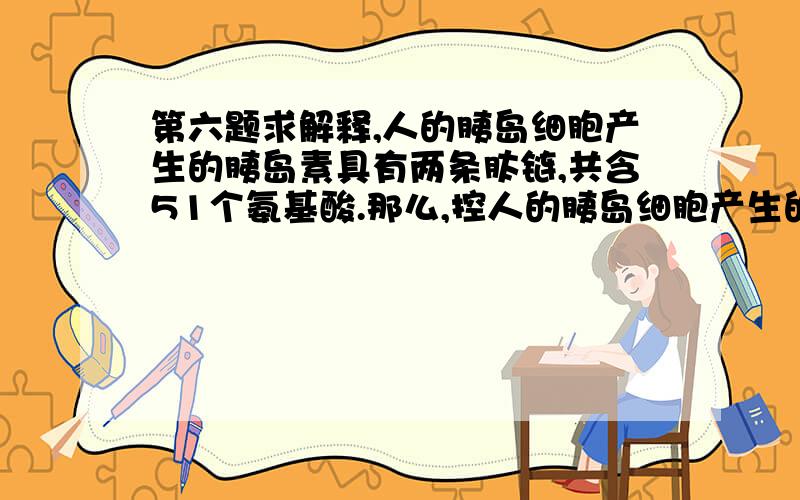 第六题求解释,人的胰岛细胞产生的胰岛素具有两条肽链,共含51个氨基酸.那么,控人的胰岛细胞产生的胰岛素具有两条肽链,共含51个氨基酸.那么,控制合成胰岛素的基因中,含有嘧啶碱基至少有