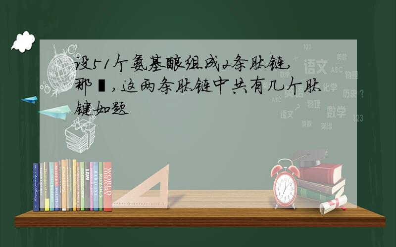 设51个氨基酸组成2条肽链,那麼,这两条肽链中共有几个肽键如题