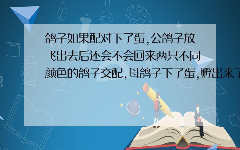 鸽子如果配对下了蛋,公鸽子放飞出去后还会不会回来两只不同颜色的鸽子交配,母鸽子下了蛋,孵出来了两只还不回吃食的鸽子．把公鸽子放飞,公鸽子还会不会回来他们相处了四个月多