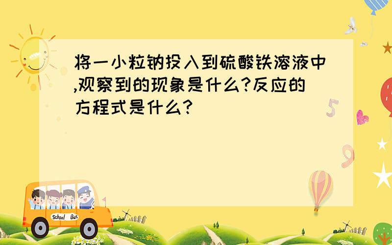 将一小粒钠投入到硫酸铁溶液中,观察到的现象是什么?反应的方程式是什么?