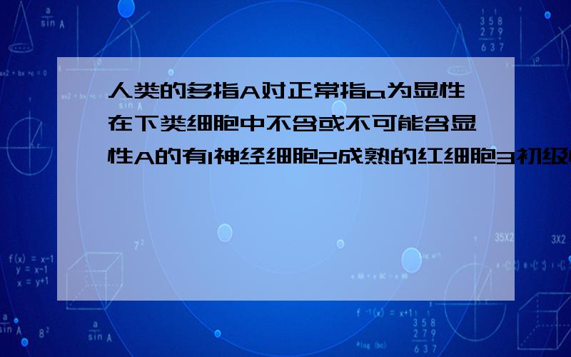 人类的多指A对正常指a为显性在下类细胞中不含或不可能含显性A的有1神经细胞2成熟的红细胞3初级性母细胞4次性母细胞5肌肉细胞6成熟的性细胞