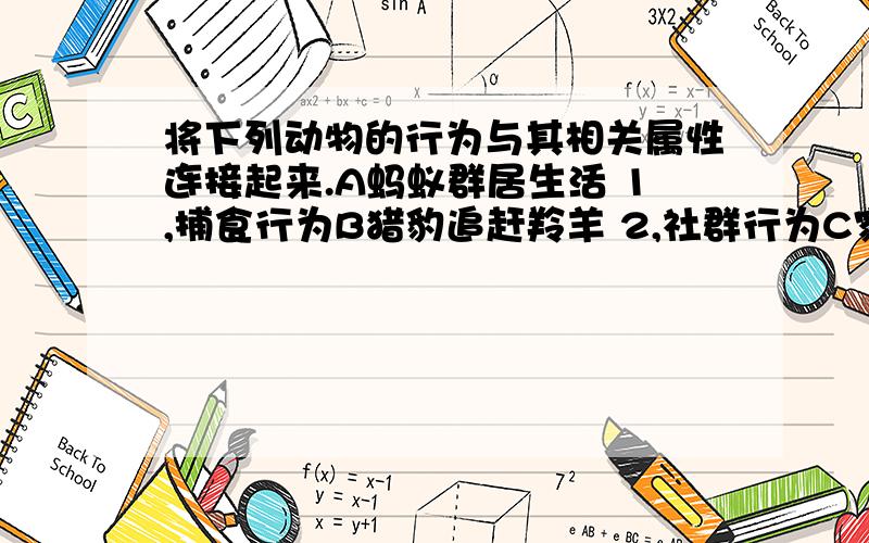 将下列动物的行为与其相关属性连接起来.A蚂蚁群居生活 1,捕食行为B猎豹追赶羚羊 2,社群行为C家鸽孵卵 3,繁殖行为D两只羚羊相互斗争 4,昼夜节律E东北虎昼伏夜出 5,攻击行为F尺蠖的拟态 6,防