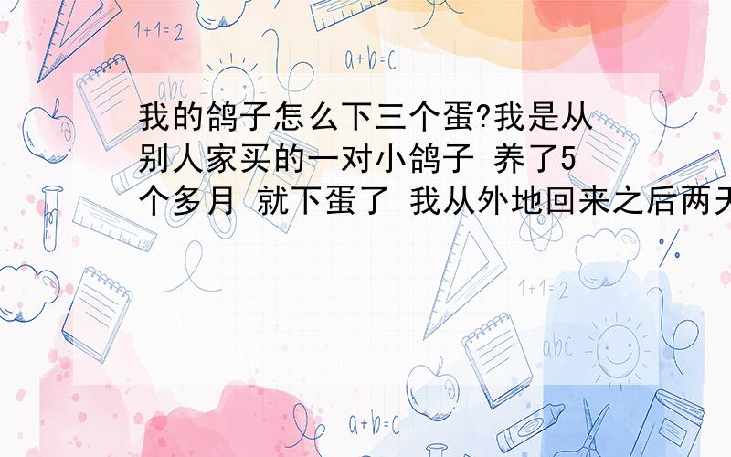 我的鸽子怎么下三个蛋?我是从别人家买的一对小鸽子 养了5个多月 就下蛋了 我从外地回来之后两天爬树看下窝里面已经有1个蛋 大概两三天又下两个蛋 第一个大的 第二个大的 第三个是小蛋