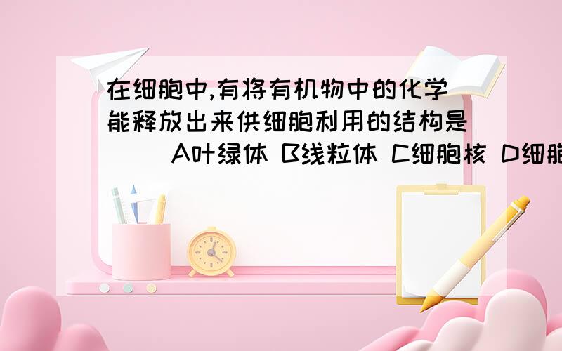 在细胞中,有将有机物中的化学能释放出来供细胞利用的结构是( )A叶绿体 B线粒体 C细胞核 D细胞膜