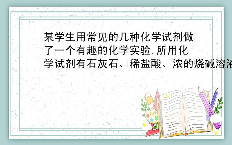 某学生用常见的几种化学试剂做了一个有趣的化学实验.所用化学试剂有石灰石、稀盐酸、浓的烧碱溶液,仪器有试管、导管、可乐瓶、注射器等.第一步：用可乐瓶收集满一种气体,制取这种气