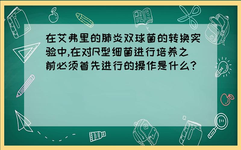 在艾弗里的肺炎双球菌的转换实验中,在对R型细菌进行培养之前必须首先进行的操作是什么?