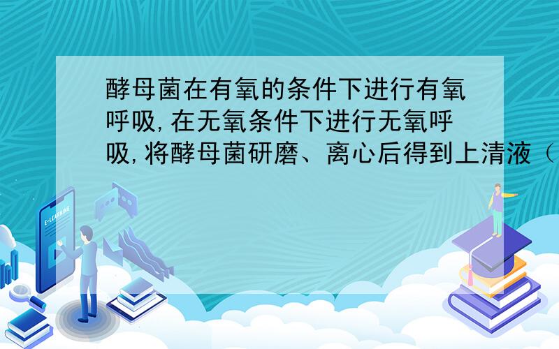 酵母菌在有氧的条件下进行有氧呼吸,在无氧条件下进行无氧呼吸,将酵母菌研磨、离心后得到上清液（含细胞质基质）和沉淀物（含细胞器）.把等量的上清液,沉淀物和未曾主心的均浆分别放