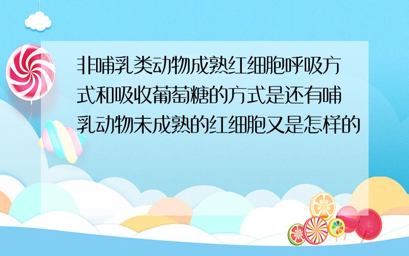 非哺乳类动物成熟红细胞呼吸方式和吸收葡萄糖的方式是还有哺乳动物未成熟的红细胞又是怎样的