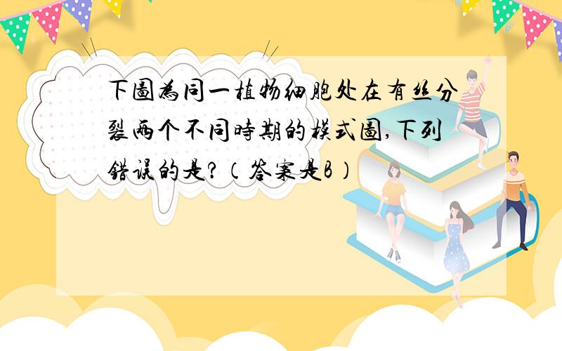 下图为同一植物细胞处在有丝分裂两个不同时期的模式图,下列错误的是?（答案是B）