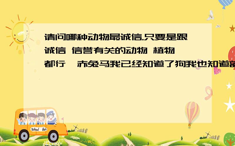 请问哪种动物最诚信.只要是跟诚信 信誉有关的动物 植物 都行  赤兔马我已经知道了狗我也知道额  请回答狗.鸽子.马以外的动物 谢谢顺便说明下原因