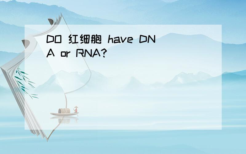 DO 红细胞 have DNA or RNA?