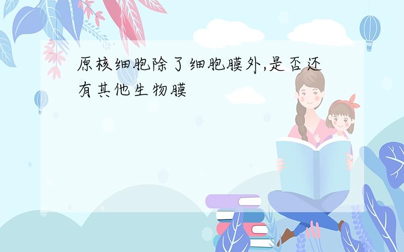 原核细胞除了细胞膜外,是否还有其他生物膜