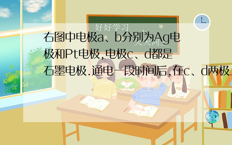 右图中电极a、b分别为Ag电极和Pt电极,电极c、d都是石墨电极.通电一段时间后,在c、d两极上共收集到336mL（标准状态）气体.回答：（1）直流电源中,M为____________极.（2）Pt电极上生成的物质是__