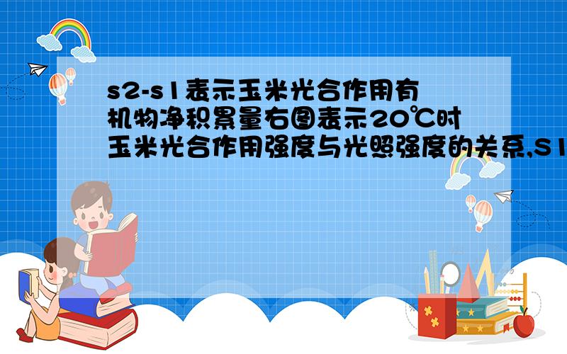 s2-s1表示玉米光合作用有机物净积累量右图表示20℃时玉米光合作用强度与光照强度的关系,S1、S2、S3表示所在部位的面积,下列说法中不正确的是：A．S1+S3表示玉米呼吸作用消耗的有机物量B．