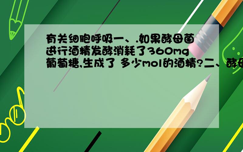 有关细胞呼吸一、.如果酵母菌进行酒精发酵消耗了360mg葡萄糖,生成了 多少mol的酒精?二、酵母菌是兼性厌氧的生物,如果它用3mol葡萄糖进行呼吸作用,生成14molCO2,请问用于有氧 呼吸和无氧呼吸