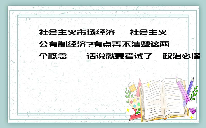 社会主义市场经济、 社会主义公有制经济?有点弄不清楚这两个概念……话说就要考试了,政治必修一,大家如果有还能想起来的易错概念给我提醒一下吧,在下在此谢过了!……