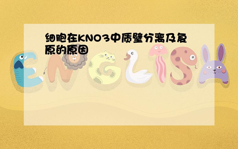 细胞在KNO3中质壁分离及复原的原因