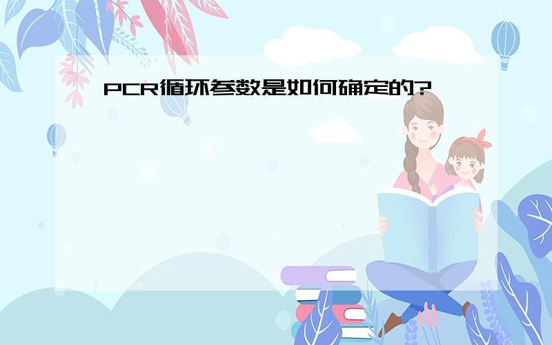 PCR循环参数是如何确定的?