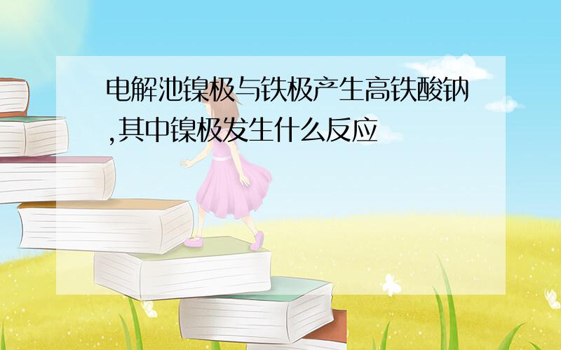 电解池镍极与铁极产生高铁酸钠,其中镍极发生什么反应