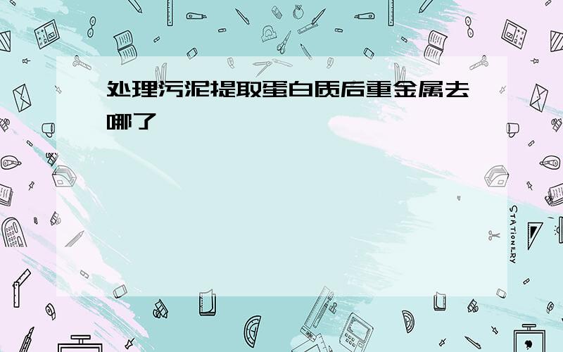 处理污泥提取蛋白质后重金属去哪了