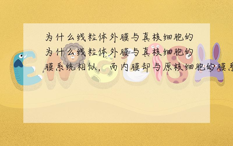 为什么线粒体外膜与真核细胞的为什么线粒体外膜与真核细胞的膜系统相似，而内膜却与原核细胞的膜系统相似