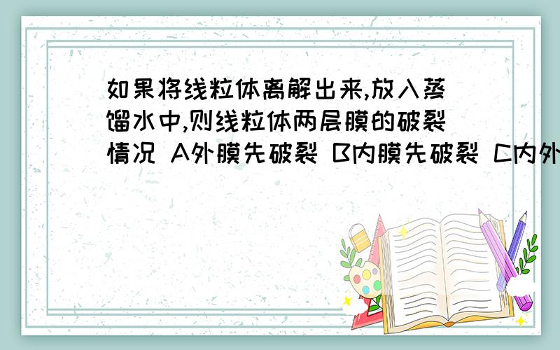 如果将线粒体离解出来,放入蒸馏水中,则线粒体两层膜的破裂情况 A外膜先破裂 B内膜先破裂 C内外膜同时破裂D膜破裂无先后顺序