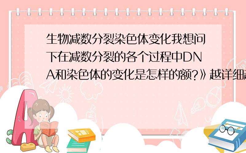 生物减数分裂染色体变化我想问下在减数分裂的各个过程中DNA和染色体的变化是怎样的额?》越详细越好@