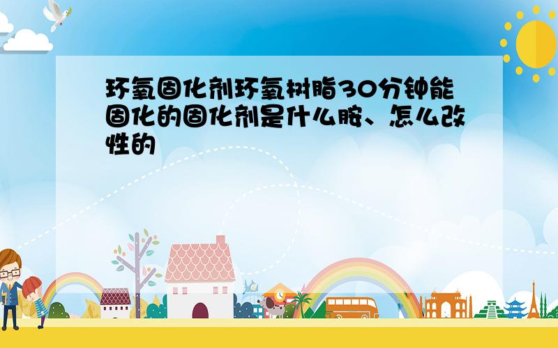 环氧固化剂环氧树脂30分钟能固化的固化剂是什么胺、怎么改性的