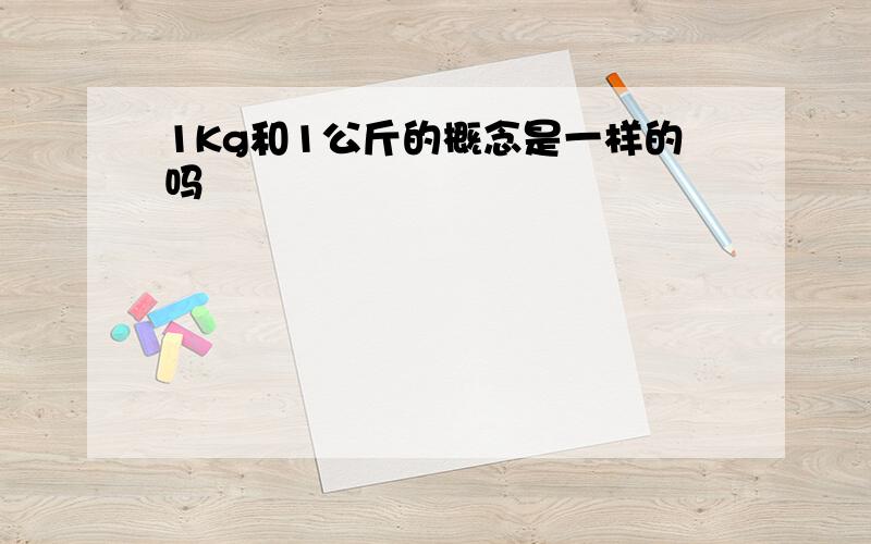 1Kg和1公斤的概念是一样的吗