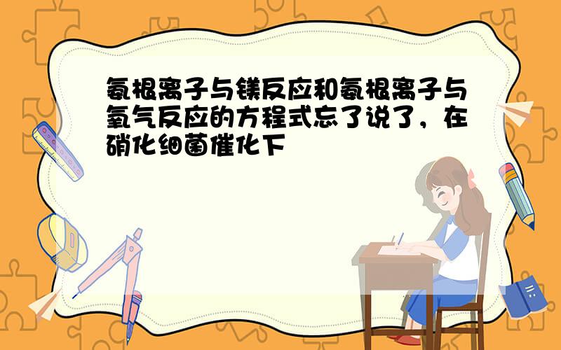 氨根离子与镁反应和氨根离子与氧气反应的方程式忘了说了，在硝化细菌催化下