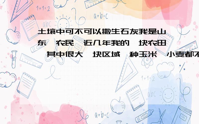 土壤中可不可以撒生石灰我是山东一农民,近几年我的一块农田,其中很大一块区域,种玉米、小麦都不长高,苗长到四十公分左右就出现枯萎现象,几近绝收.请问：土壤中到底缺少什么?该如何调