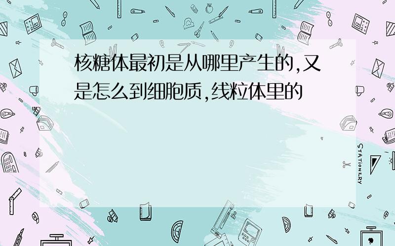 核糖体最初是从哪里产生的,又是怎么到细胞质,线粒体里的