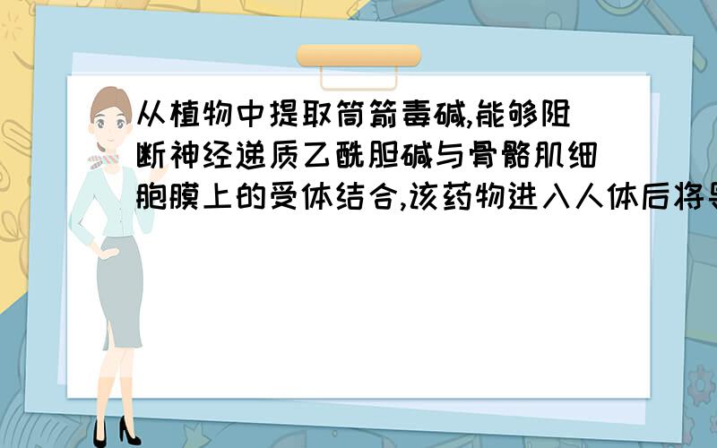 从植物中提取筒箭毒碱,能够阻断神经递质乙酰胆碱与骨骼肌细胞膜上的受体结合,该药物进入人体后将导致A.失去感觉 B失去思考能力 C骨骼肌松弛（答案） D神经细胞不能兴奋