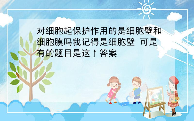 对细胞起保护作用的是细胞壁和细胞膜吗我记得是细胞壁 可是有的题目是这↑答案