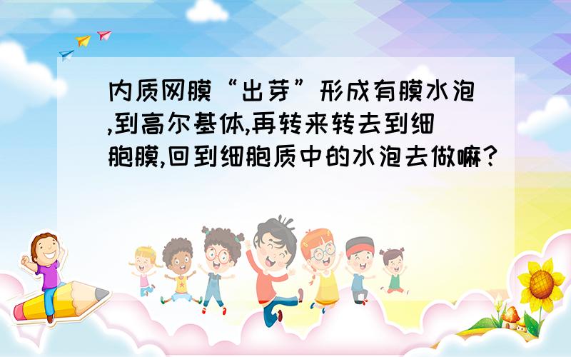 内质网膜“出芽”形成有膜水泡,到高尔基体,再转来转去到细胞膜,回到细胞质中的水泡去做嘛?