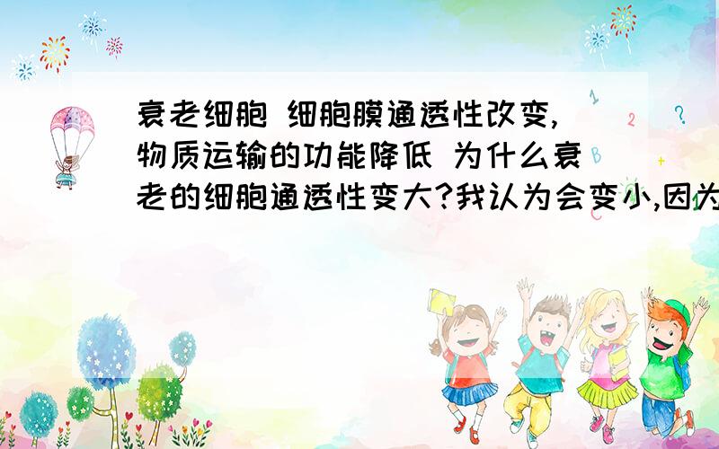 衰老细胞 细胞膜通透性改变,物质运输的功能降低 为什么衰老的细胞通透性变大?我认为会变小,因为其上面载体蛋白的数量减少,主动运输的能力下降.选择透过性下降,靠载体运输的物质不能