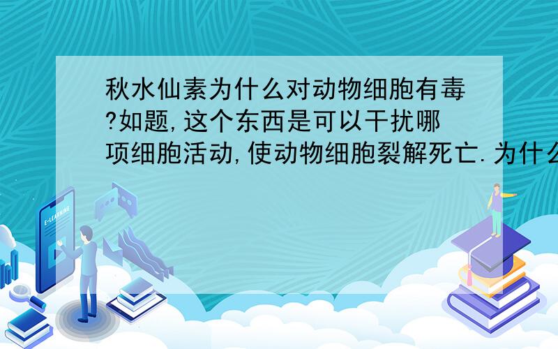 秋水仙素为什么对动物细胞有毒?如题,这个东西是可以干扰哪项细胞活动,使动物细胞裂解死亡.为什么植物细胞对秋水仙素耐受性更强?