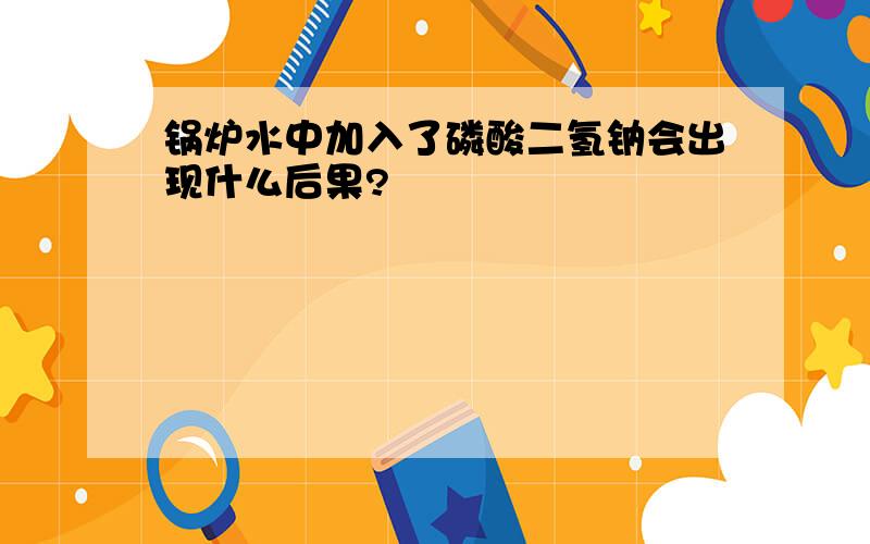 锅炉水中加入了磷酸二氢钠会出现什么后果?