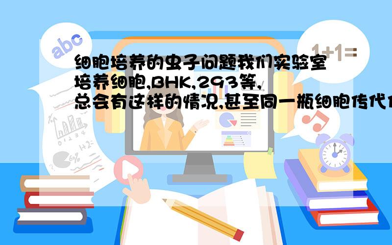 细胞培养的虫子问题我们实验室培养细胞,BHK,293等,总会有这样的情况,甚至同一瓶细胞传代传到2瓶,用一样的试剂,有可能一瓶会长虫.在镜下观察细胞正常,空隙中有很小的黑点黑线,会移动也会