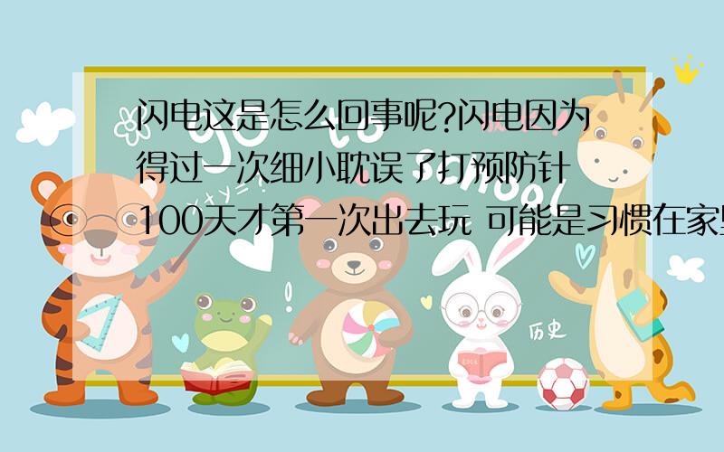 闪电这是怎么回事呢?闪电因为得过一次细小耽误了打预防针 100天才第一次出去玩 可能是习惯在家里NNBB了吧现在不论在外面玩多久 也忍着 等到家里才ＮＮＢＢ 如果中间要上车去别的地方