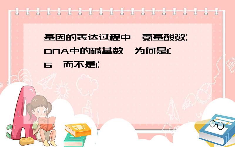 基因的表达过程中,氨基酸数:DNA中的碱基数,为何是1:6,而不是1: