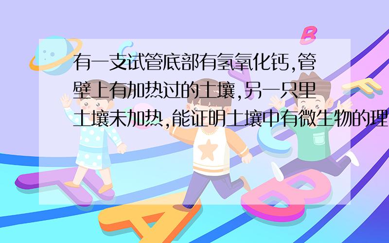 有一支试管底部有氢氧化钙,管壁上有加热过的土壤,另一只里土壤未加热,能证明土壤中有微生物的理由是?