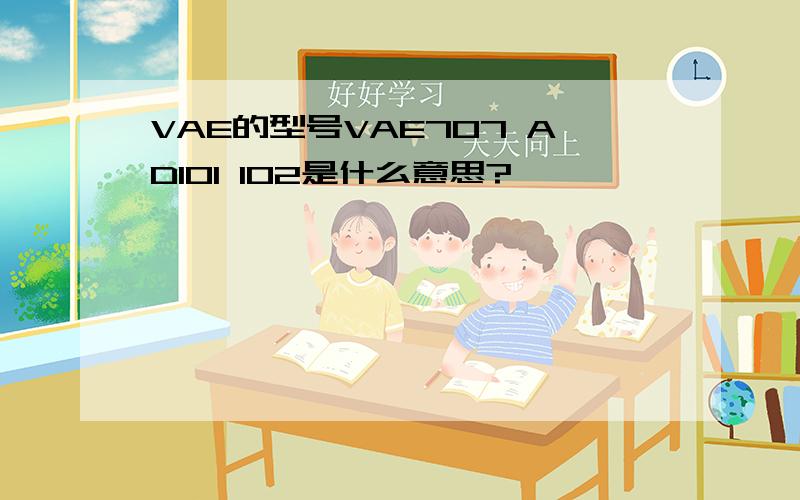 VAE的型号VAE707 AD101 102是什么意思?