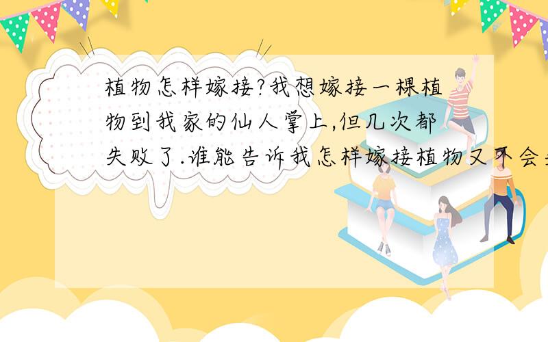 植物怎样嫁接?我想嫁接一棵植物到我家的仙人掌上,但几次都失败了.谁能告诉我怎样嫁接植物又不会失败吗?