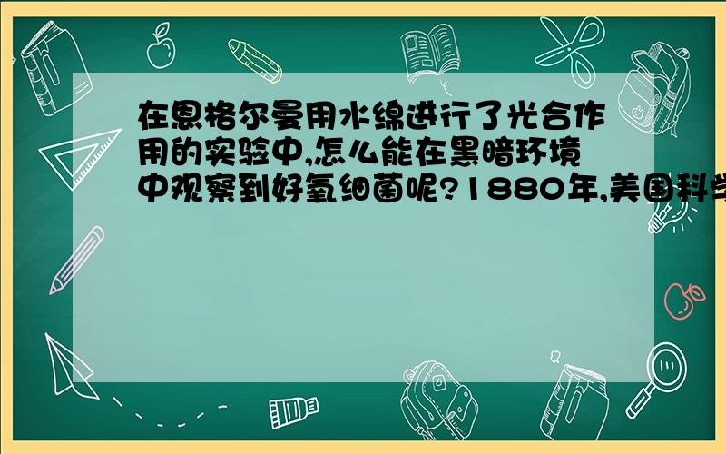 在恩格尔曼用水绵进行了光合作用的实验中,怎么能在黑暗环境中观察到好氧细菌呢?1880年,美国科学家恩格尔曼（G.Engelmann,1809—1884）用水绵进行了光合作用的实验：把载有水绵和好氧细菌临