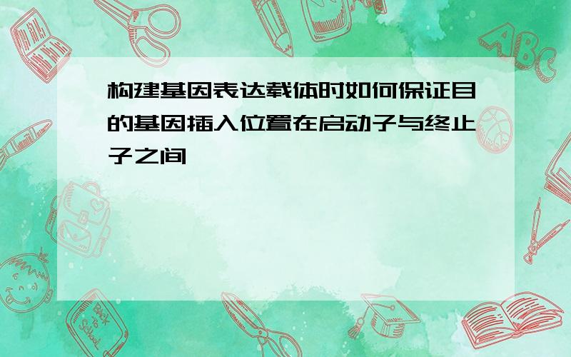 构建基因表达载体时如何保证目的基因插入位置在启动子与终止子之间